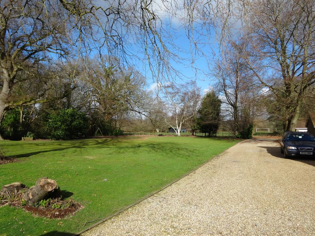 The Bothy Villa Lyndhurst Rum bild