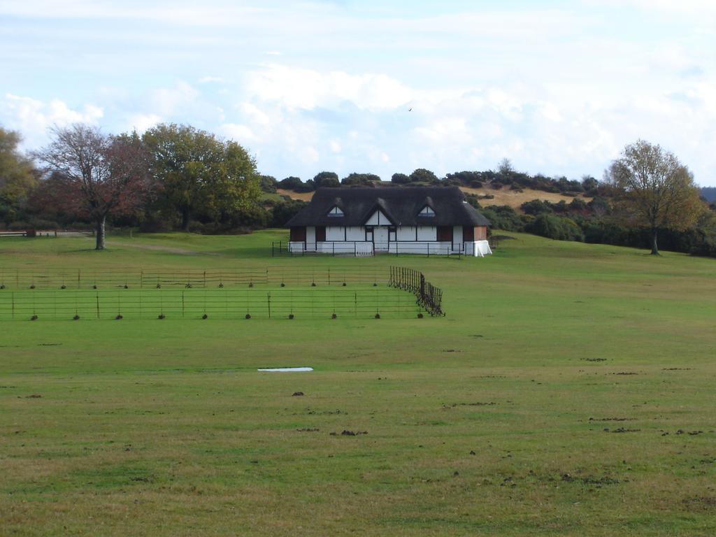 The Bothy Villa Lyndhurst Rum bild